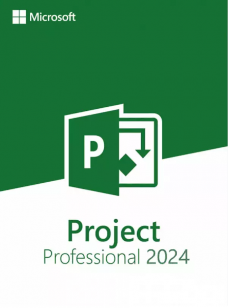 Microsoft Project 2024 Professional